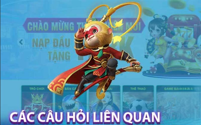 Các câu hỏi liên quan đến việc đăng nhập betvnd